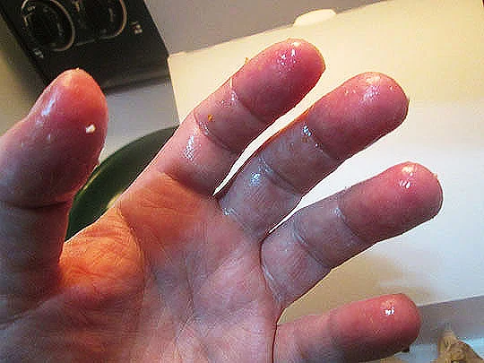 10.+fingerlicking_feb2-18.jpg