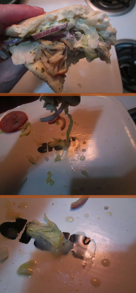 8.+firstbite_nov24-17.jpg