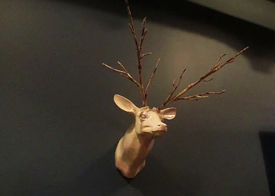10. ohdeer_jan15-19.jpg