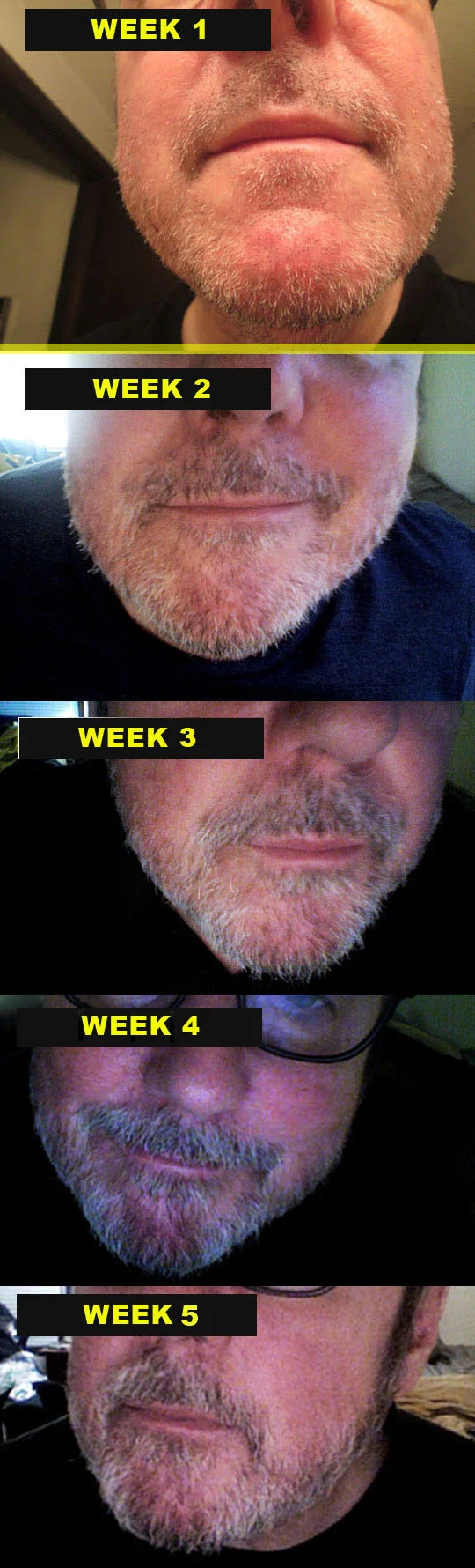 5. weeklygrowth_jan26-19.jpg