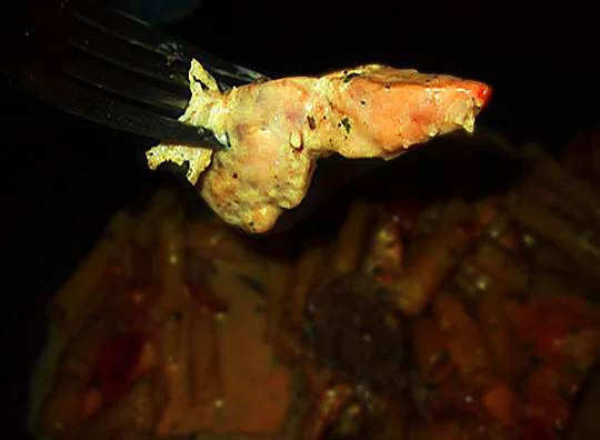 15. chicken_7-2-19.jpg