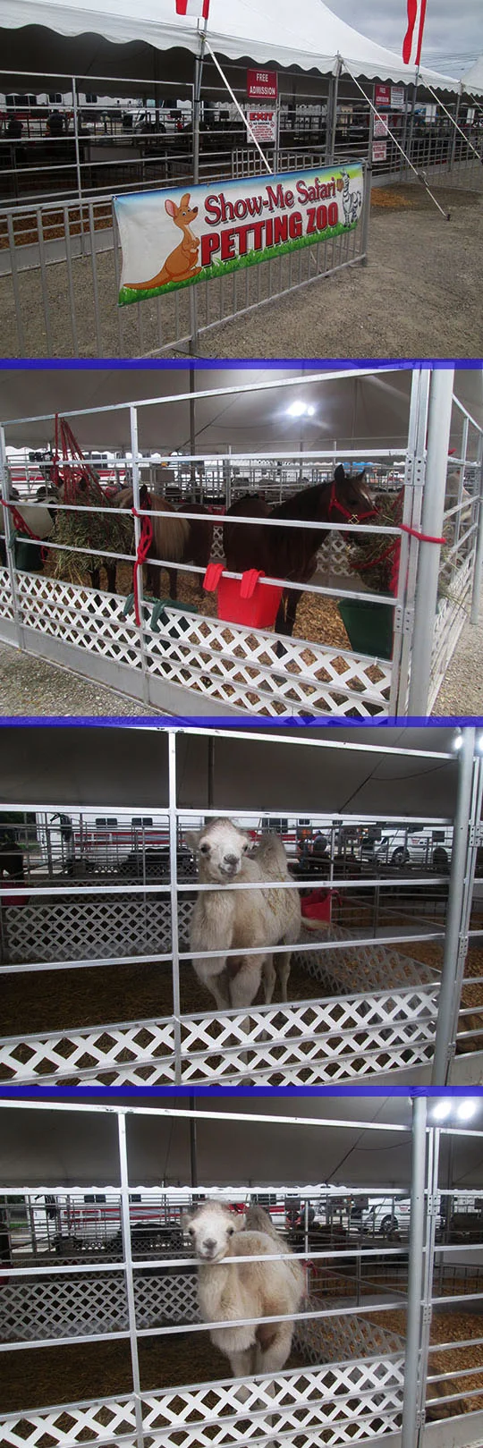 13. pettingzoo_7-16-19.jpg