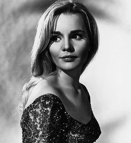 Because it's Tuesday, let's celebrate Tuesday Weld