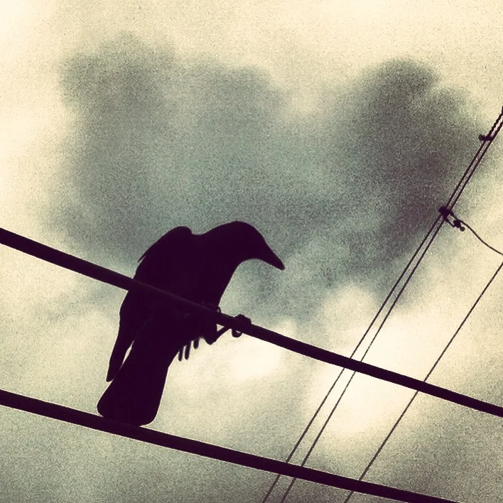 Cloudy Heart Crow