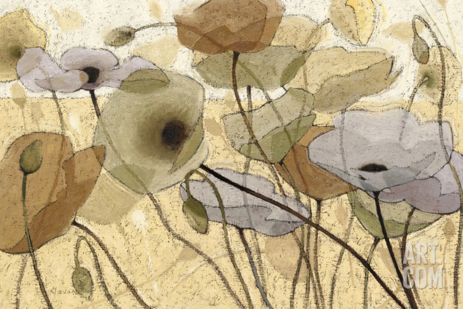 Fluidity-IV-Shirley-Novak_.jpg