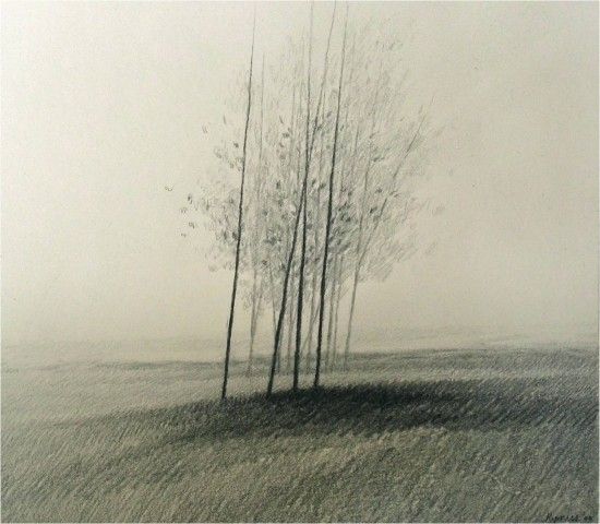 Kipniss Misty Trees.jpg