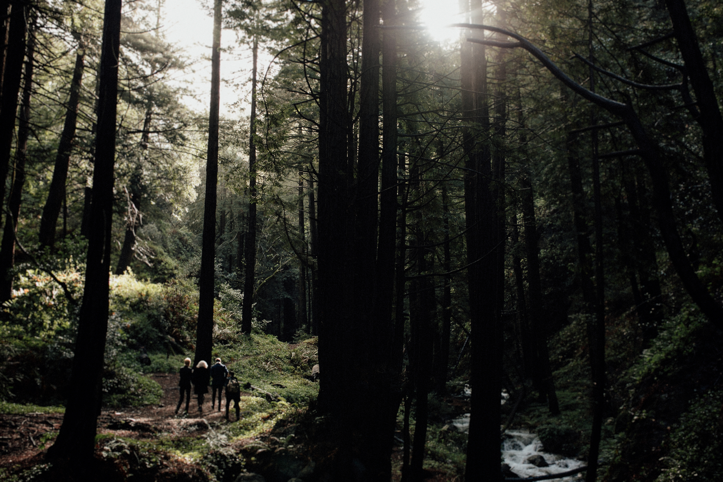 big-sur-elopement