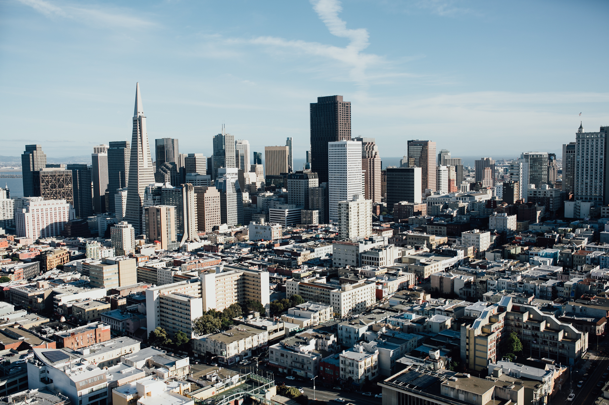 san-francisco-city-skyline-wedding