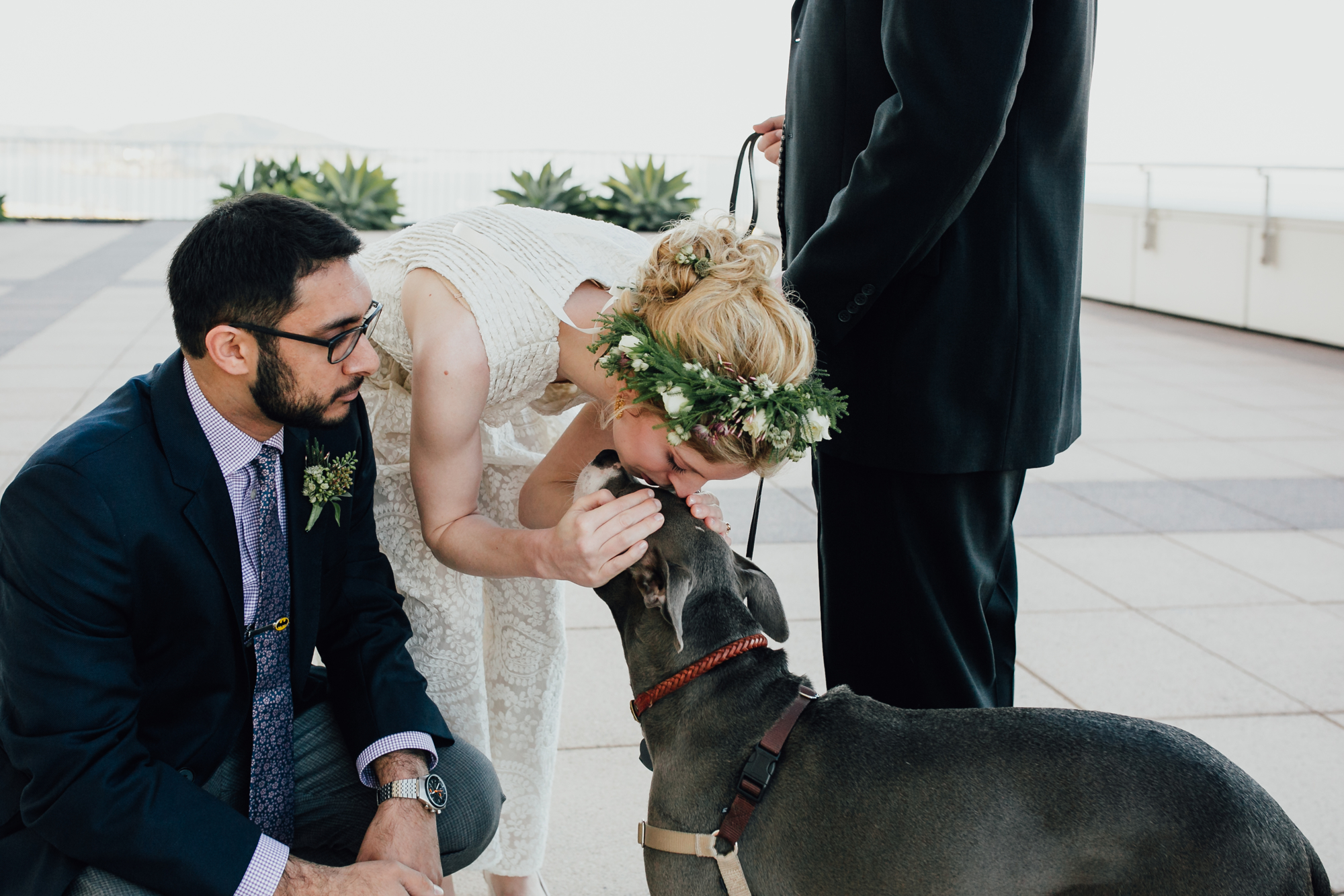 groom-bride-kissing-dog