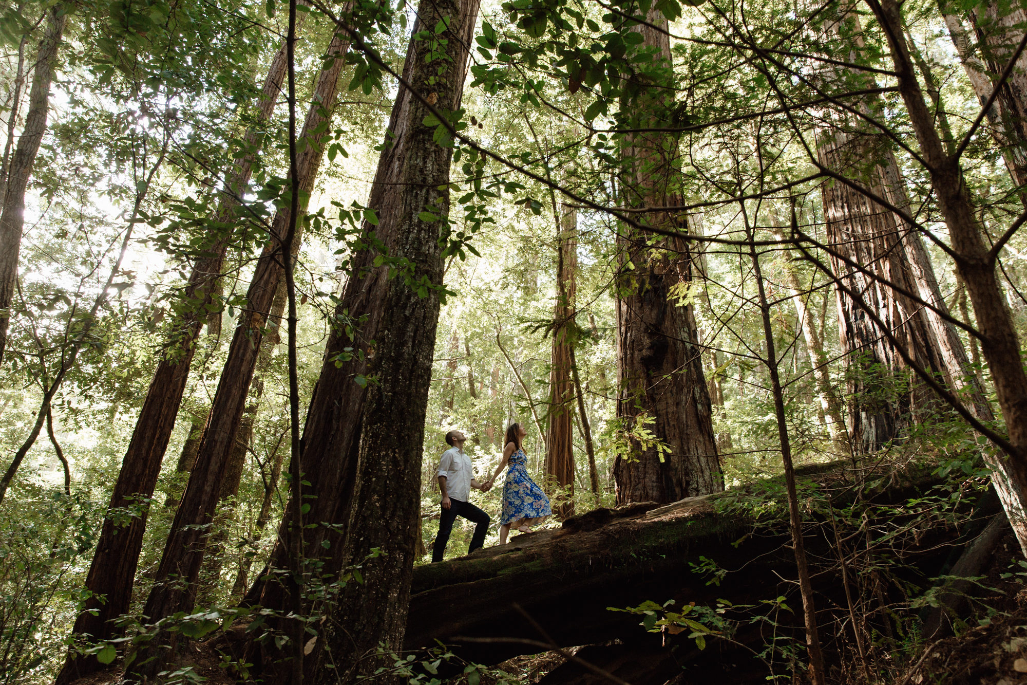 Big Basin Engagement Sesssion