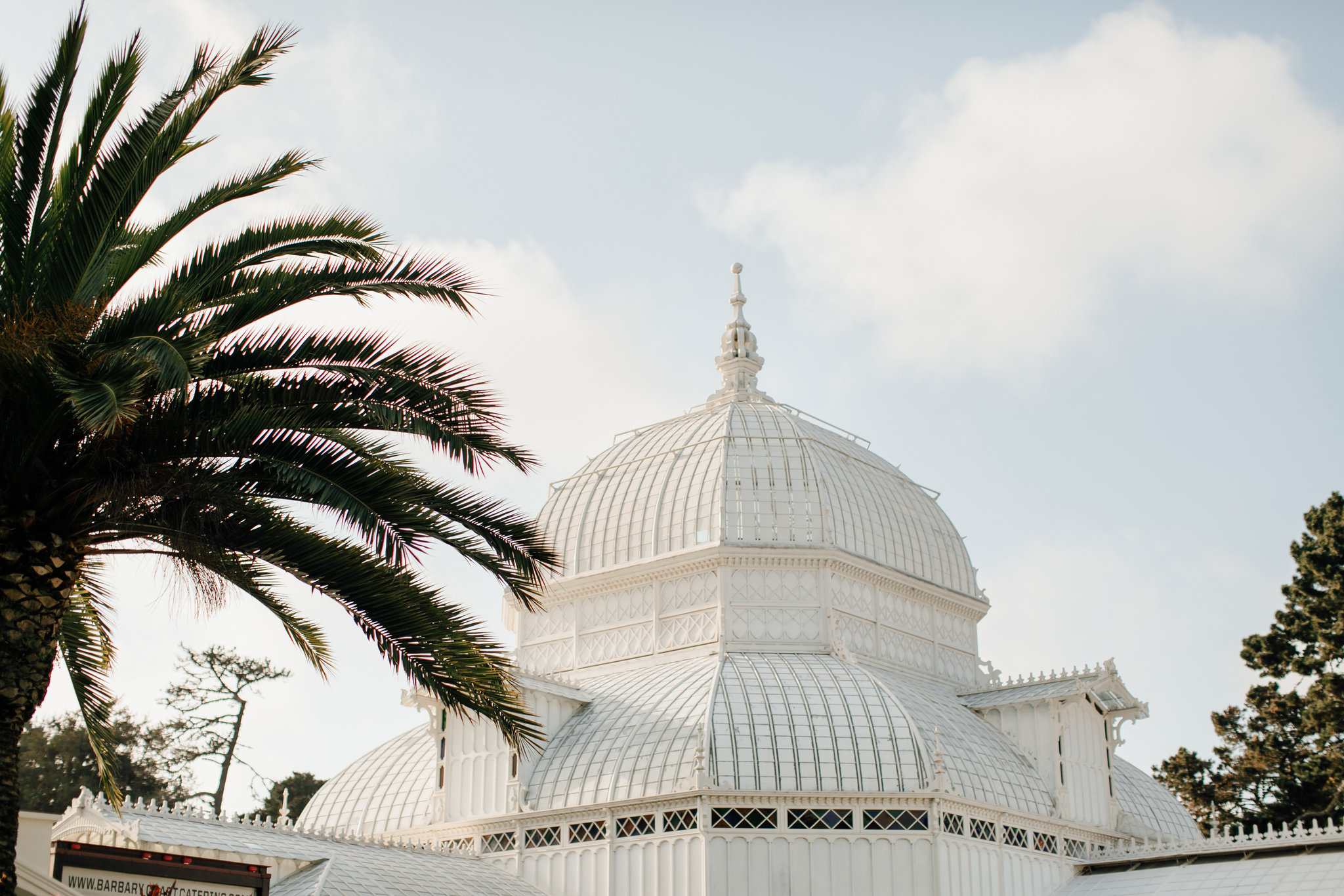 Laid back city hall wedding