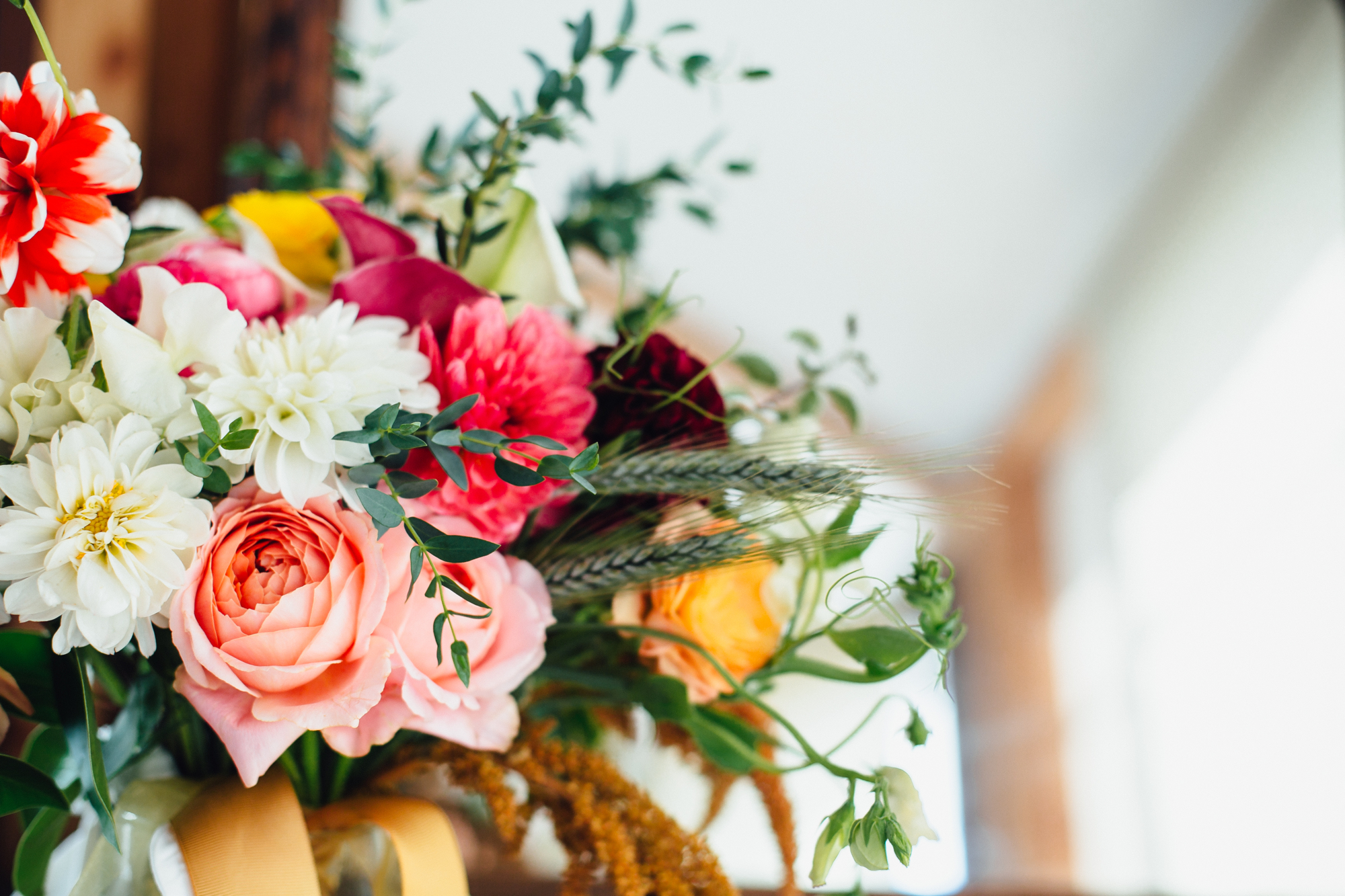  A sweet fall wedding at Bloomfield Farms in Petaluma, California. 