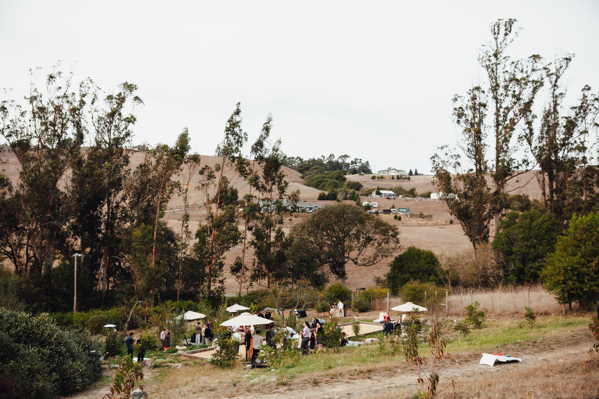  A sweet fall wedding at Bloomfield Farms in Petaluma, California. 