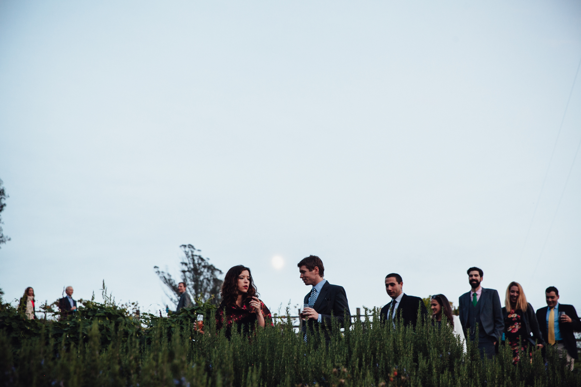  A sweet fall wedding at Bloomfield Farms in Petaluma, California. 