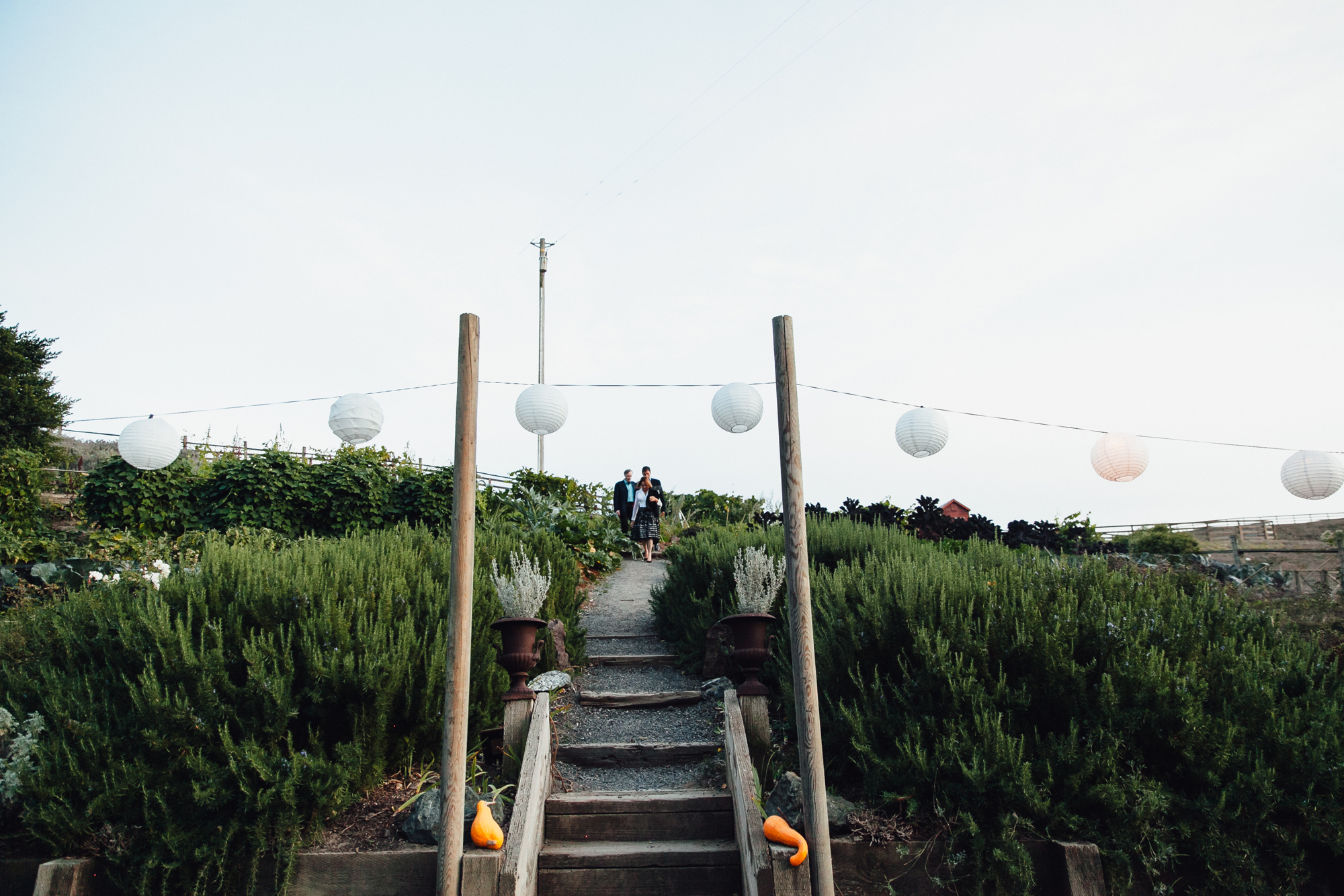  A sweet fall wedding at Bloomfield Farms in Petaluma, California. 