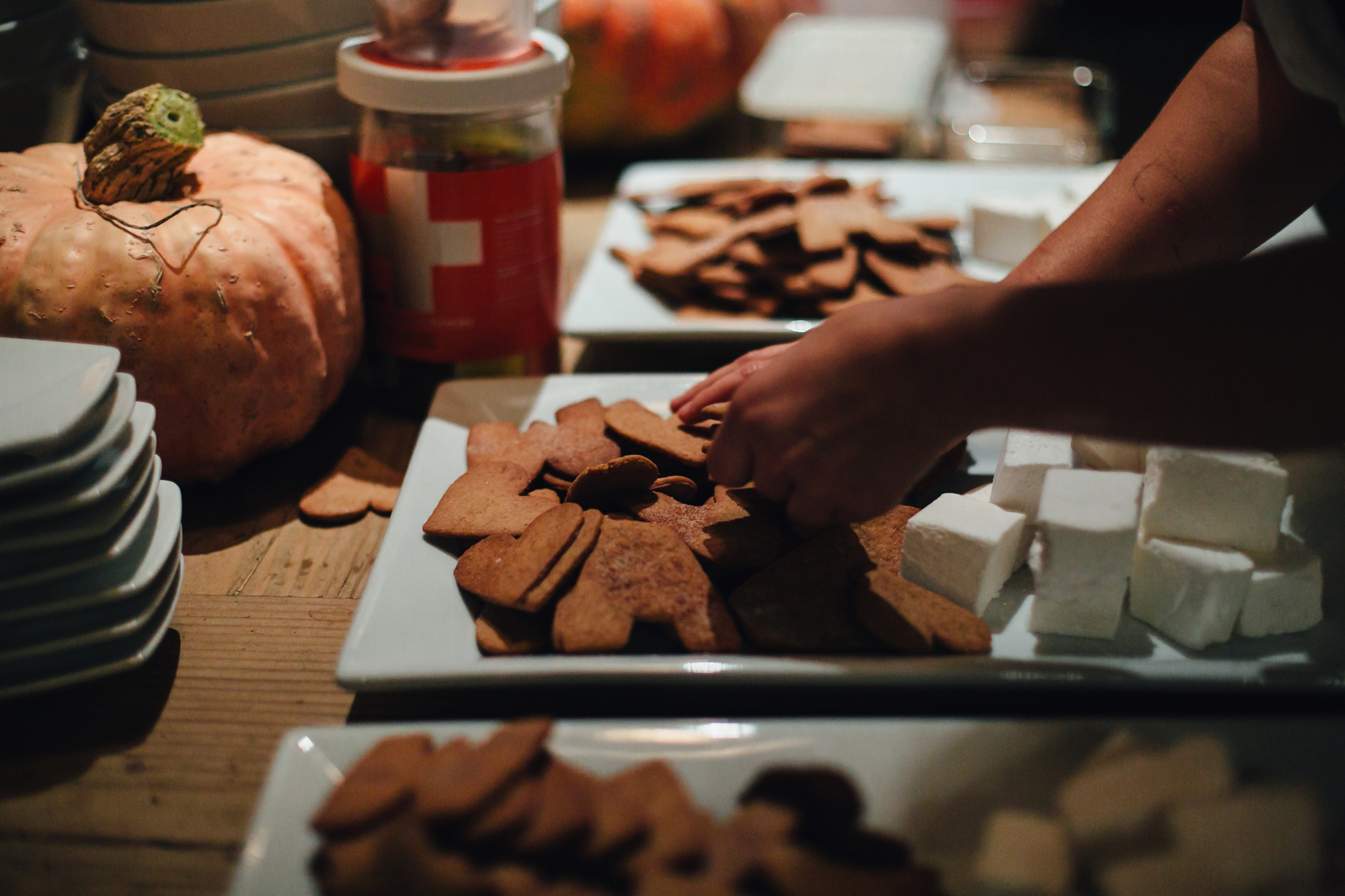  A sweet fall wedding at Bloomfield Farms in Petaluma, California. 