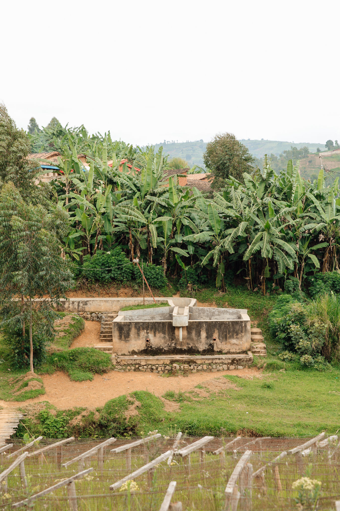 Women of Kinyovu Washing Station