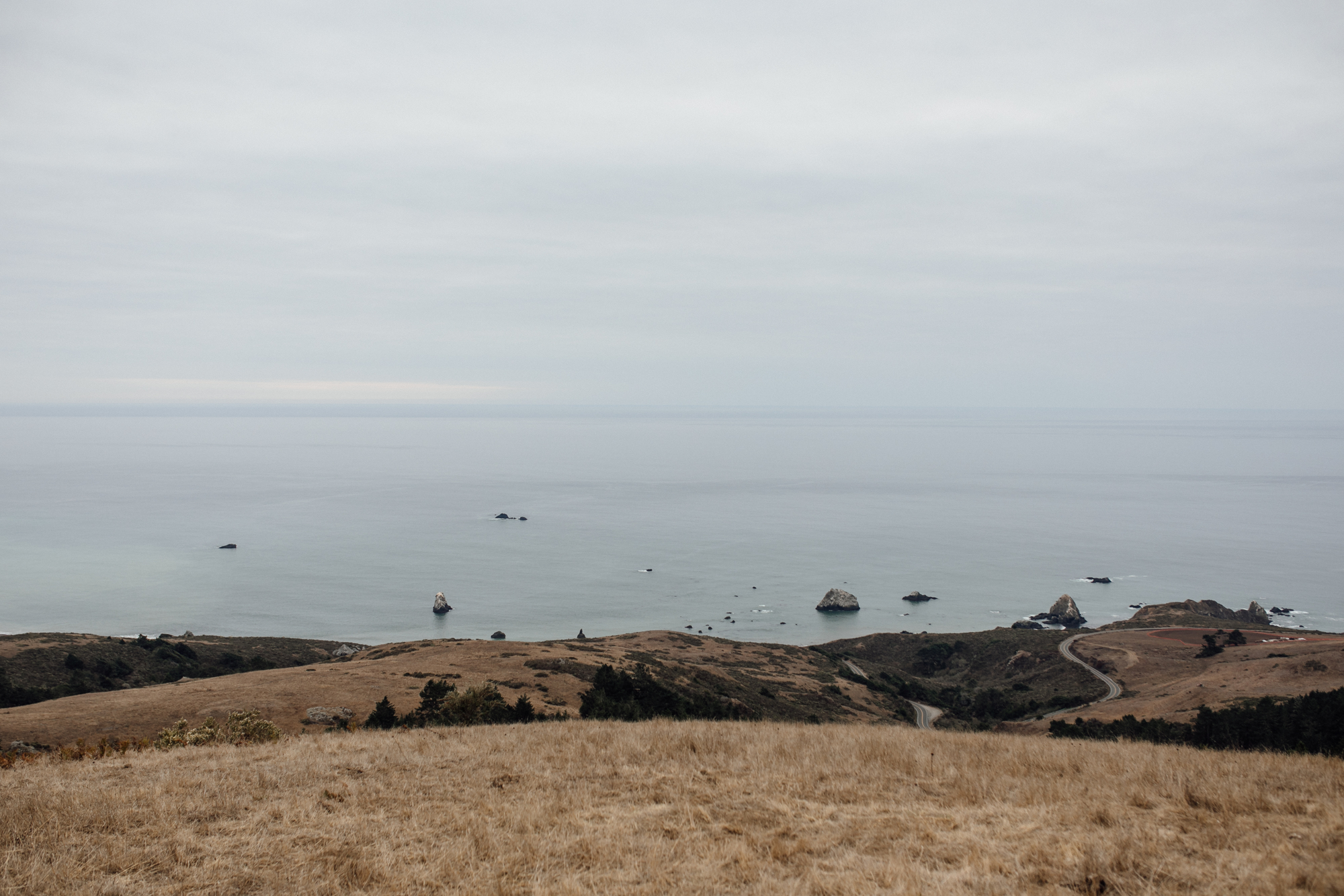  Outstanding in the Field at Marin Headlands in Jenner, California with Chef Ryan McIlwraith. 