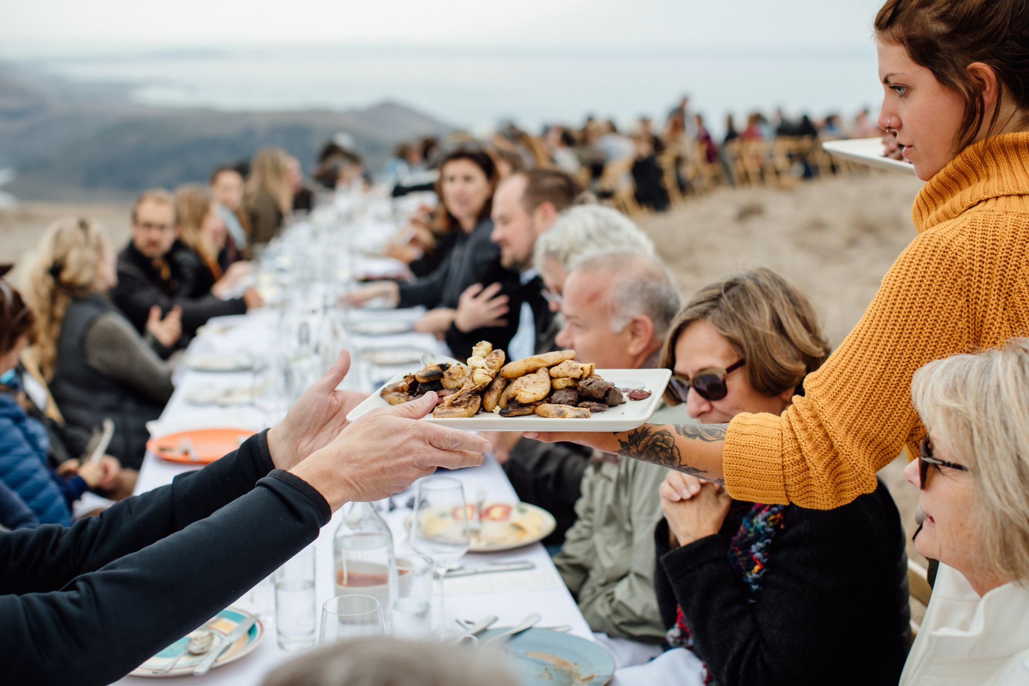  Outstanding in the Field at Marin Headlands in Jenner, California with Chef Ryan McIlwraith. 