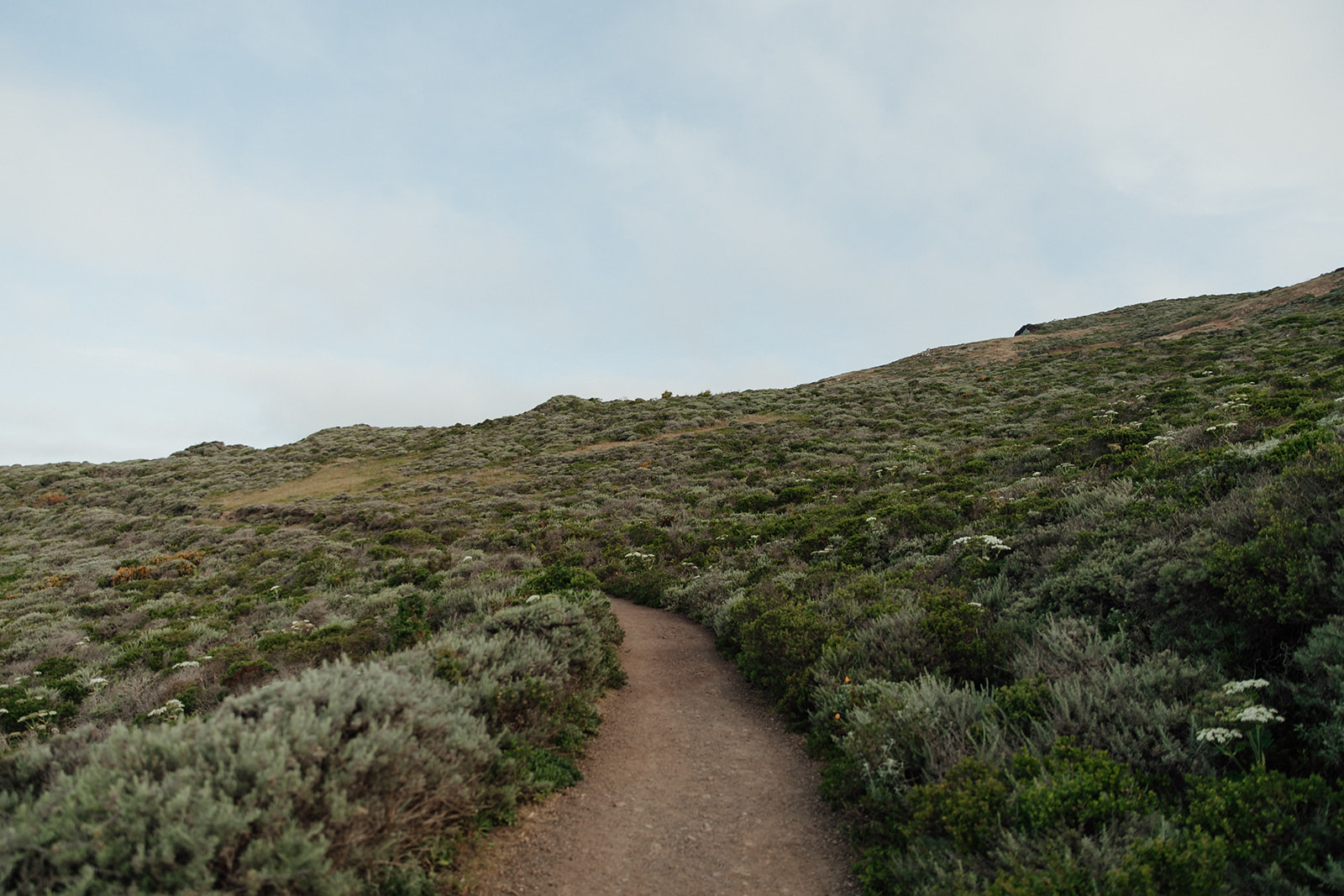 marin-headlands-wedding-marble-rye-photography-050418-047.jpg