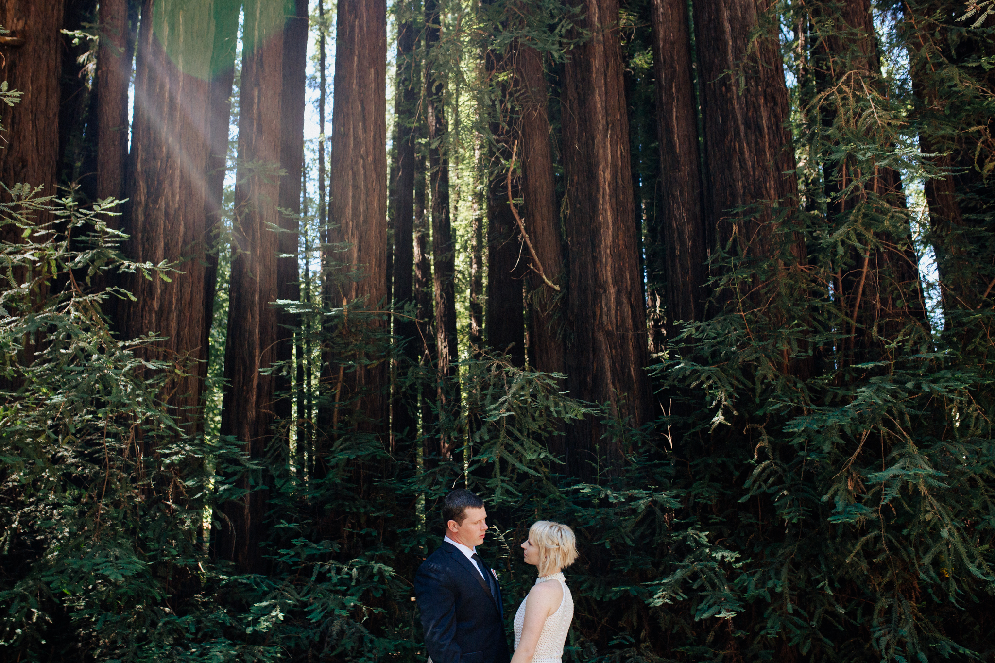 Redwoods Wedding Portrait