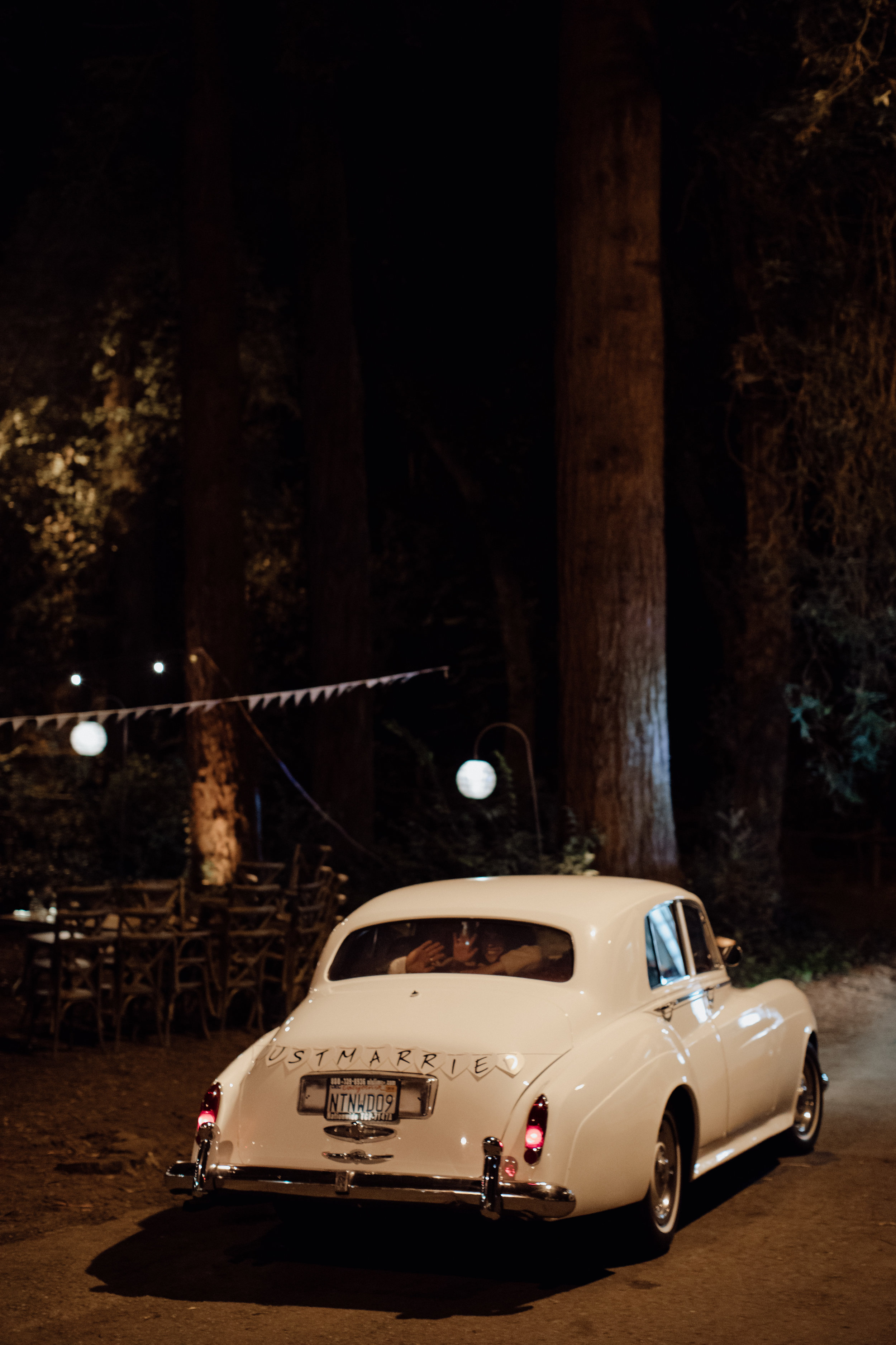 Whimsical wedding at Stern Grove