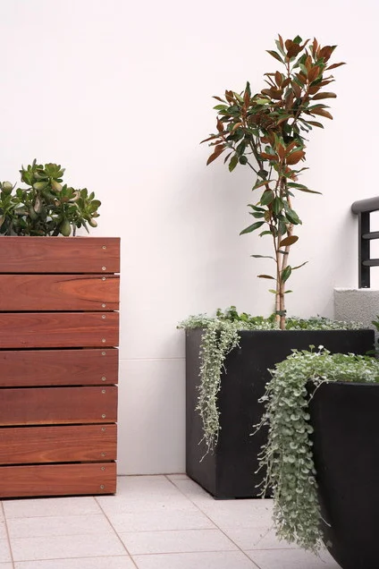 balcony-garden1.jpg