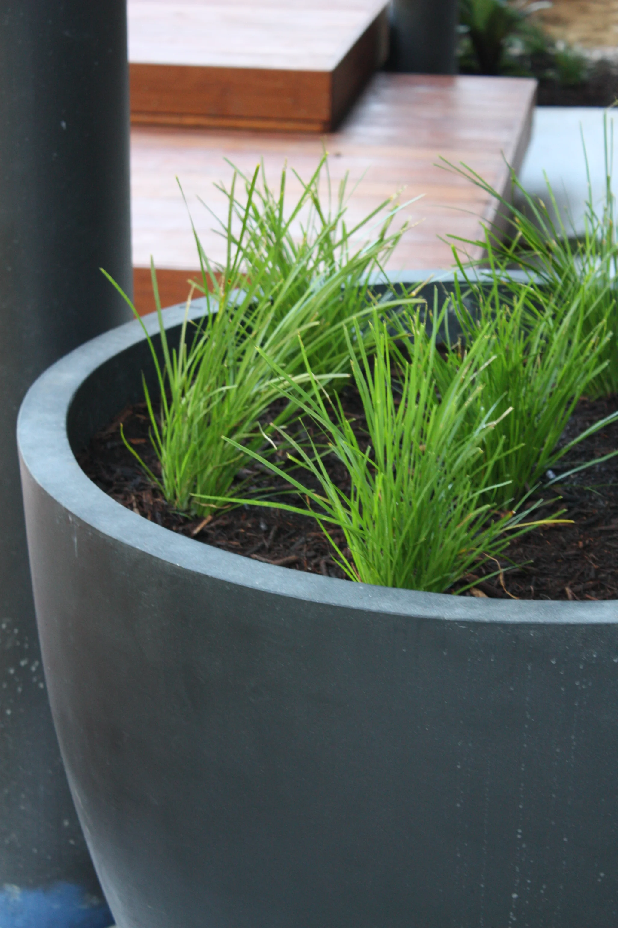 Bardon, QLDModern entertaining zone and fire pit to suit contemporary style. Read more...