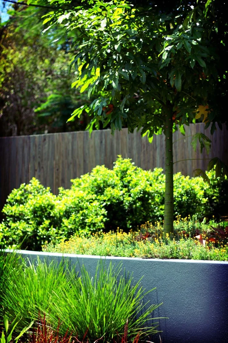 Bulimba, QLDPool and entertaining area created for a family lifestyle. Read more...