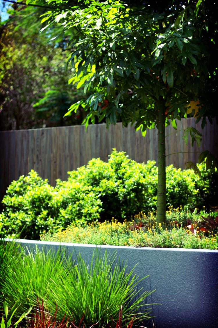 Bulimba, QLD Pool and entertaining area created for a family lifestyle. Read more...