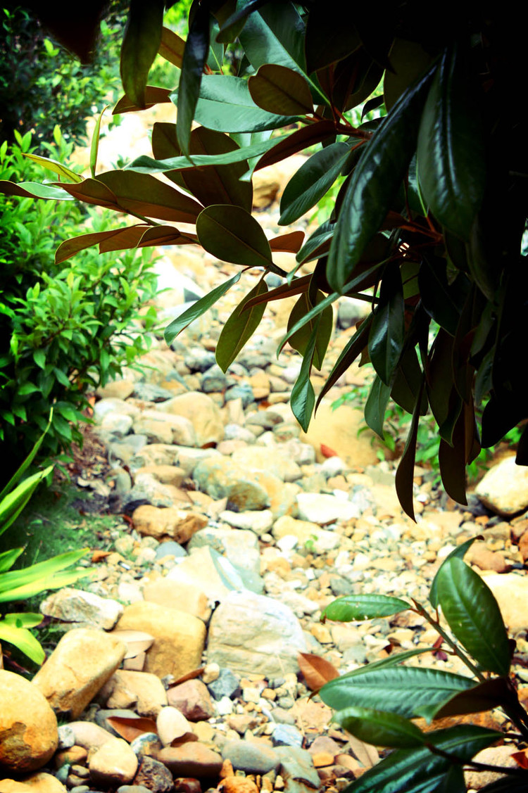 Indooroopilly, QLD Water overflow management and landscape planting. Read more...