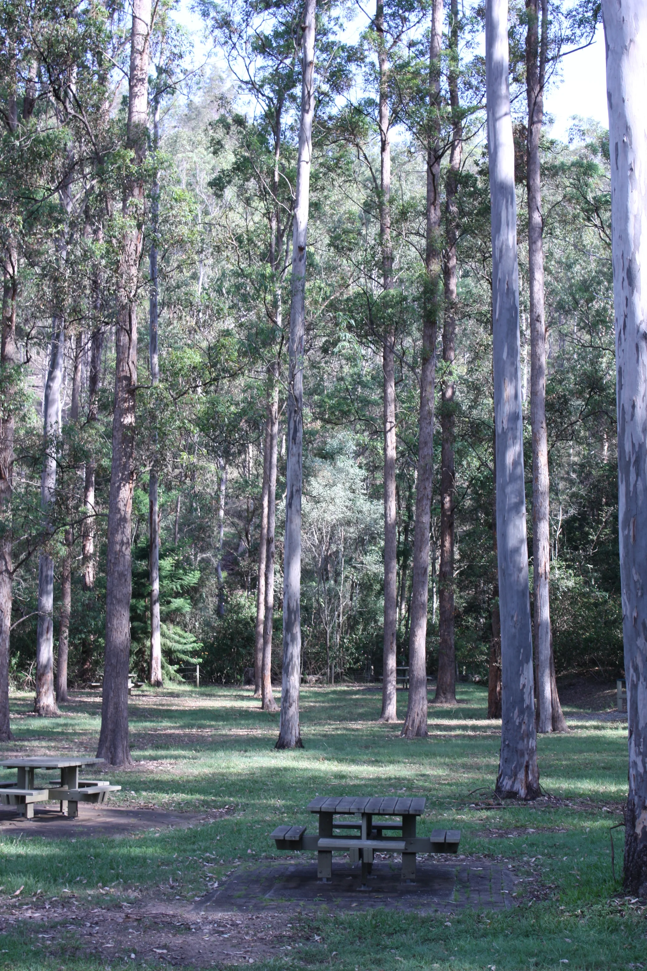 Announcing my favourite park in Brisbane