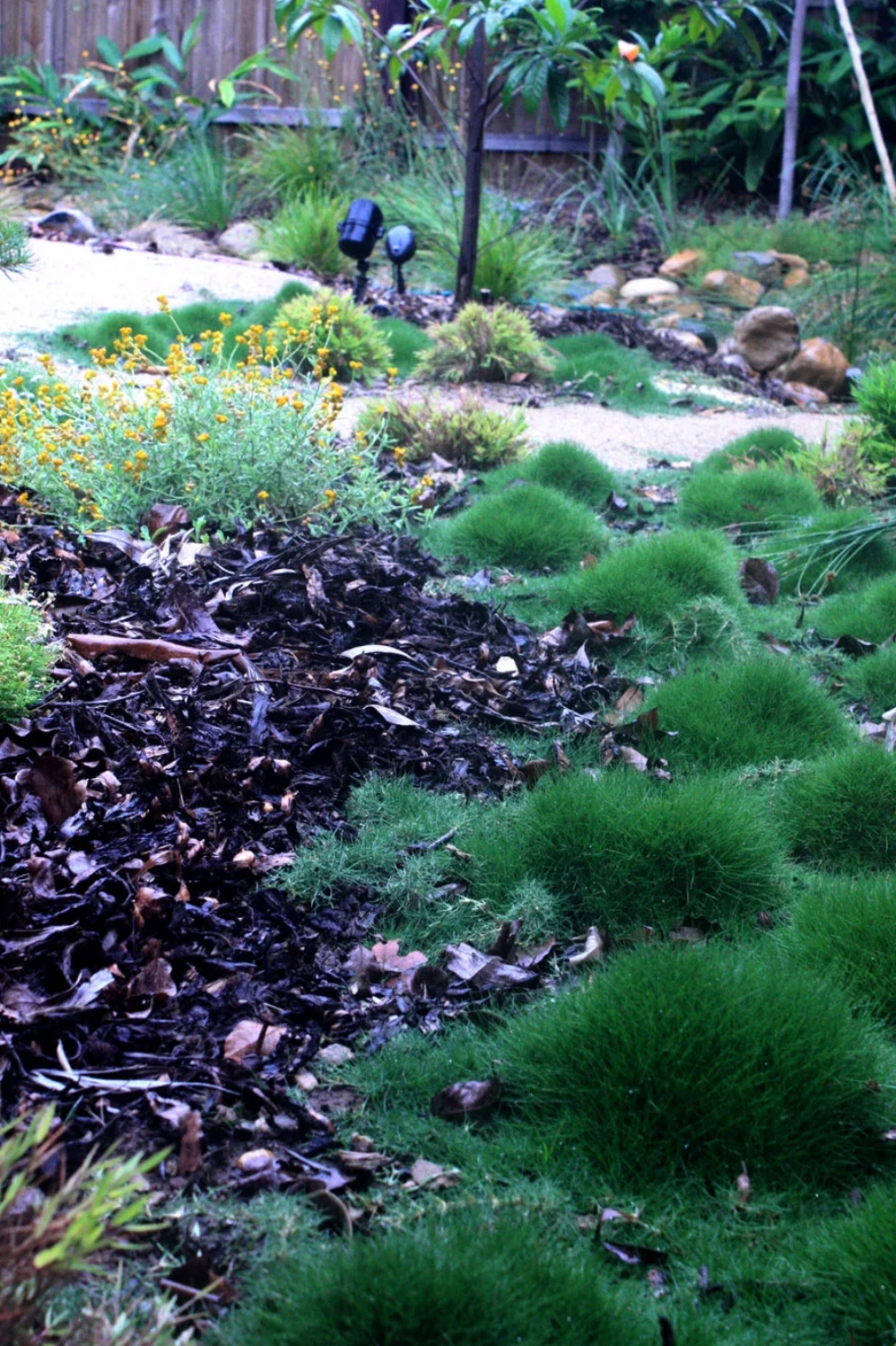 The Gap, QLDLow maintenance backyard for undulating property in the Gap. Read more...