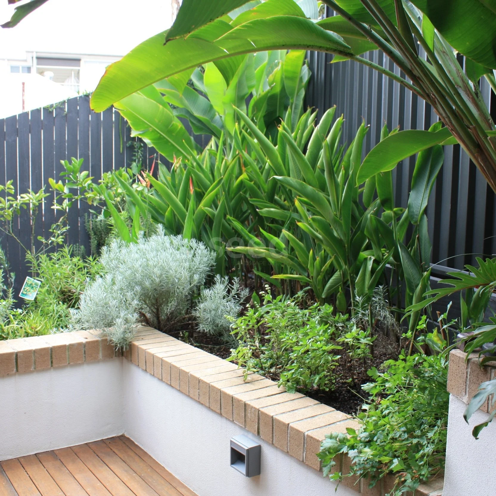 Differing levels add interest and enable the inclusion of more plant varieties within a smaller space