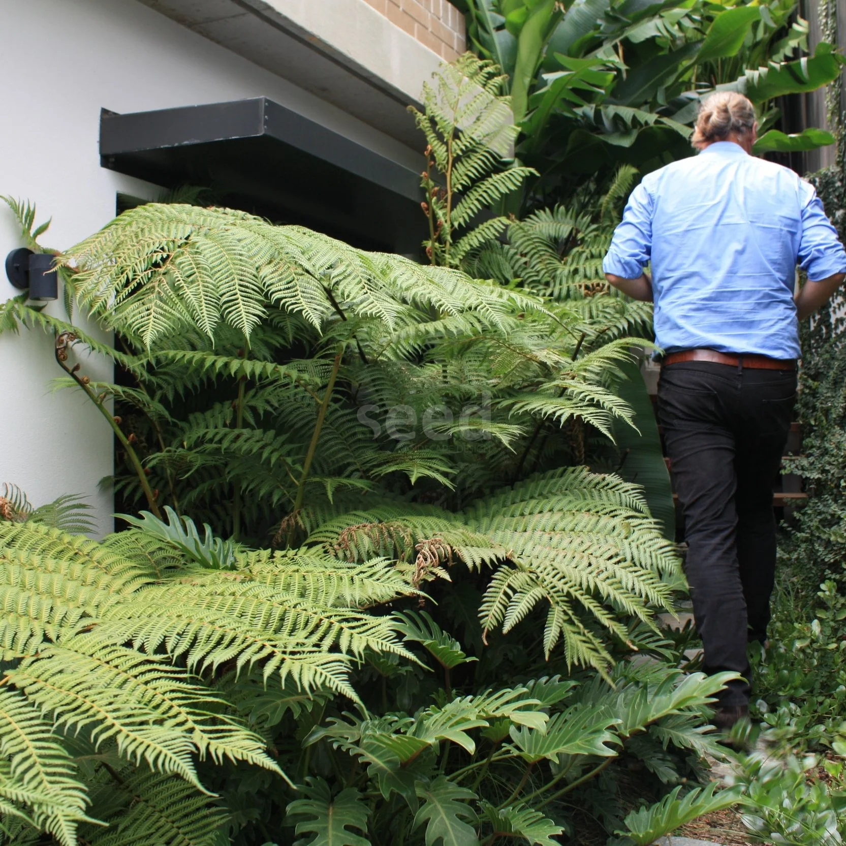 Let’s go! It is so lush and inviting as we meander up, down and through a variety of spaces.