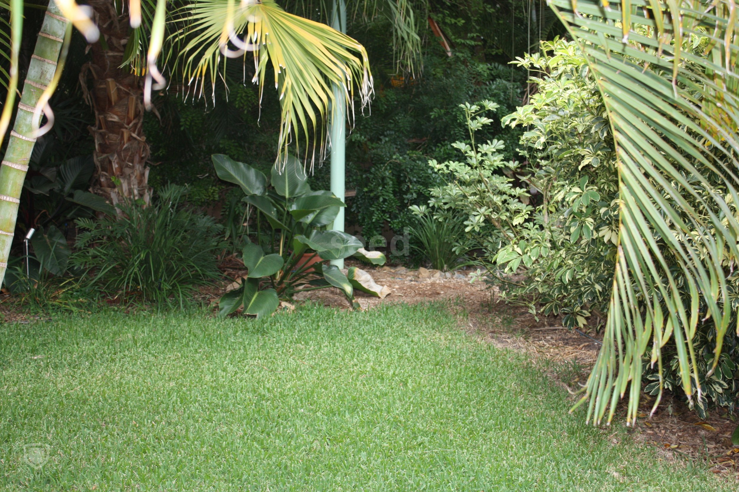 Casual elements of the backyard design….