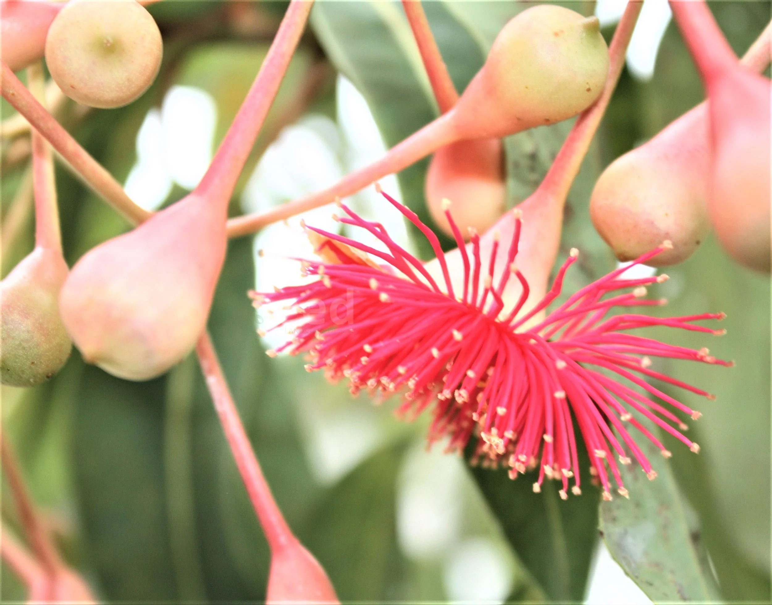 Casual Meets Formal In Newmarket