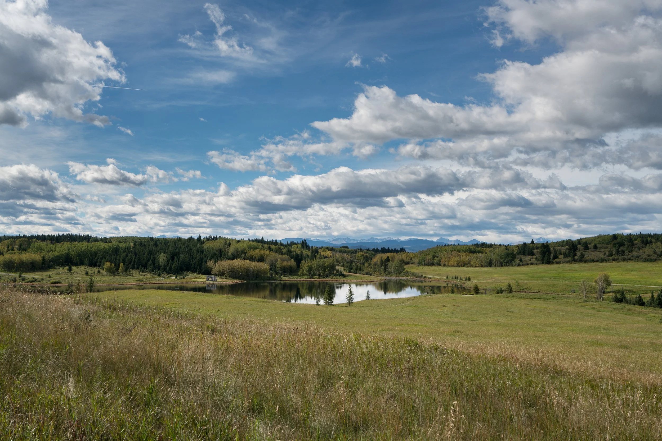 Arch. Group Young Projects, Fireplace Canada.