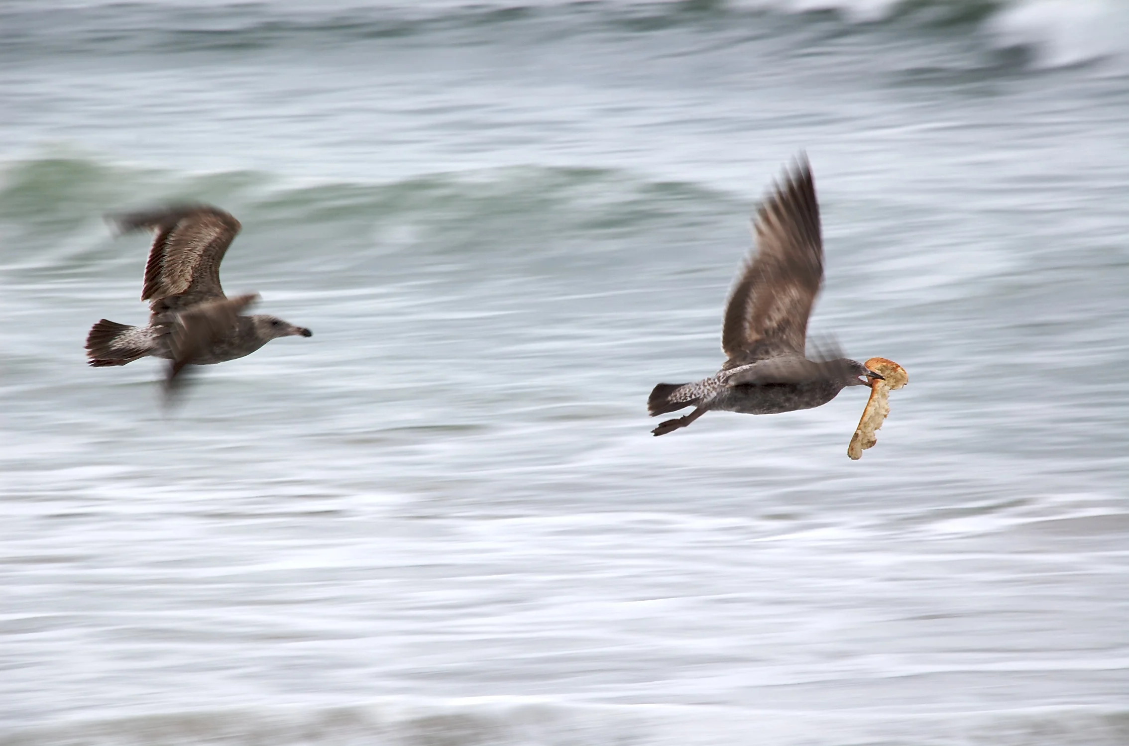 DSC_0020 - Version 2.jpg