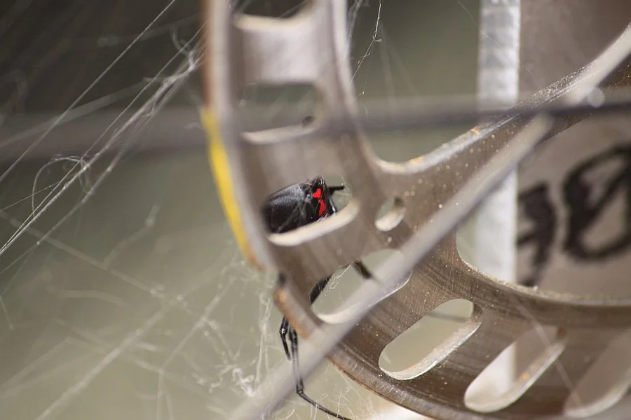 2013-04-25 01 streamliner black widow.jpg