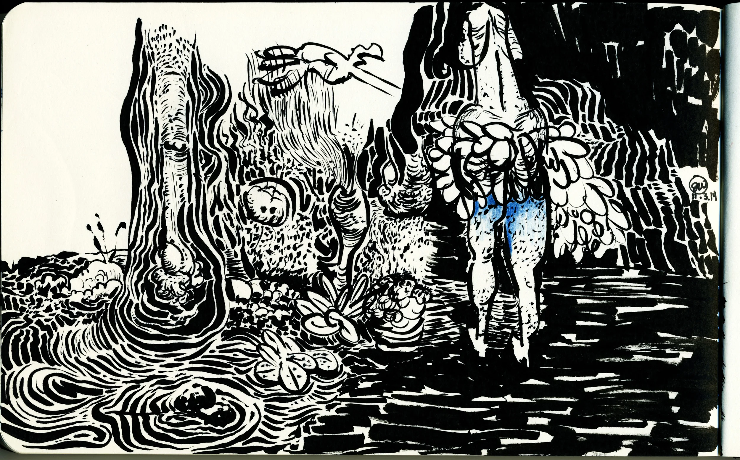 A Marsh