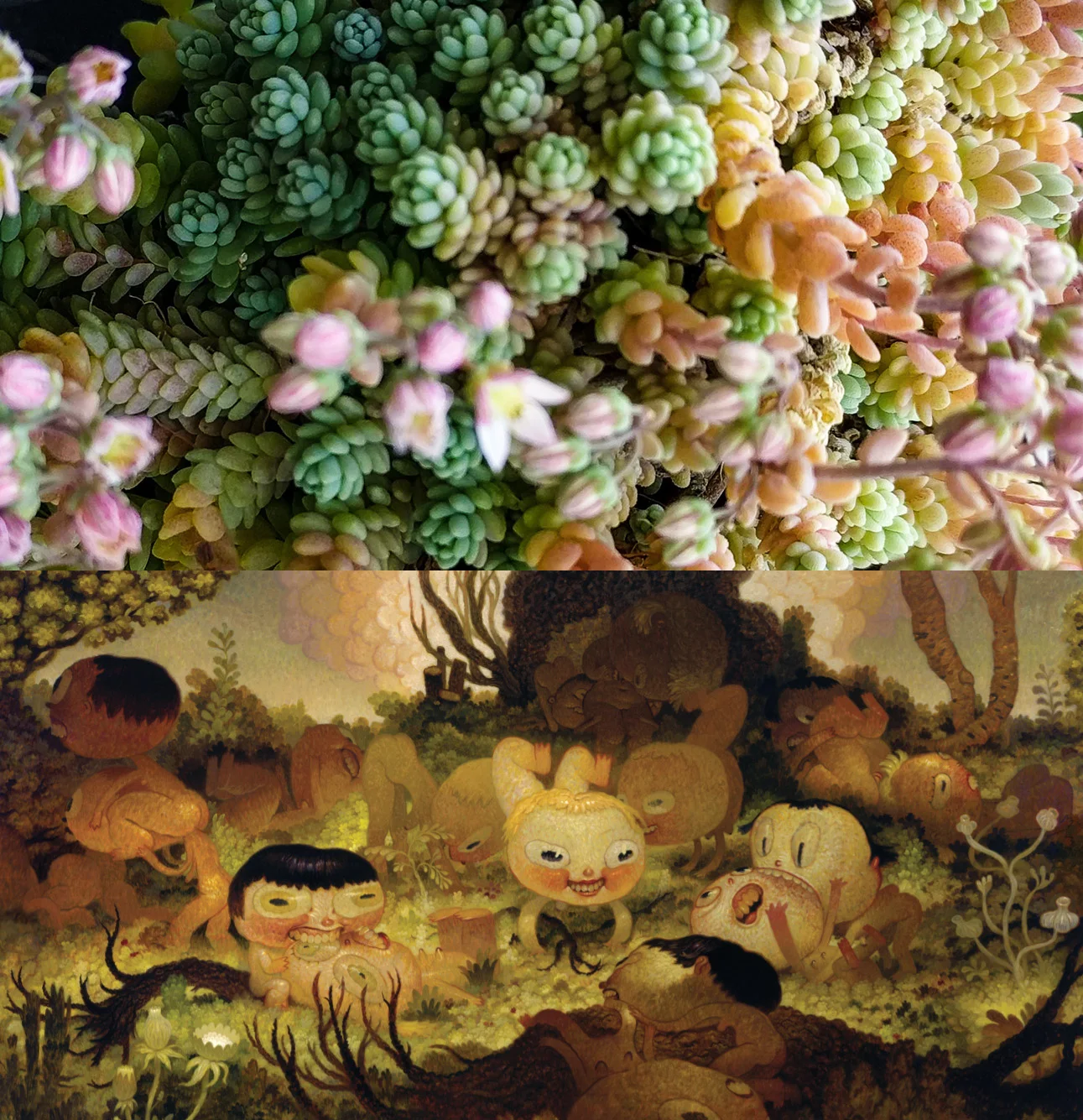 daveCooper_succulent.jpg