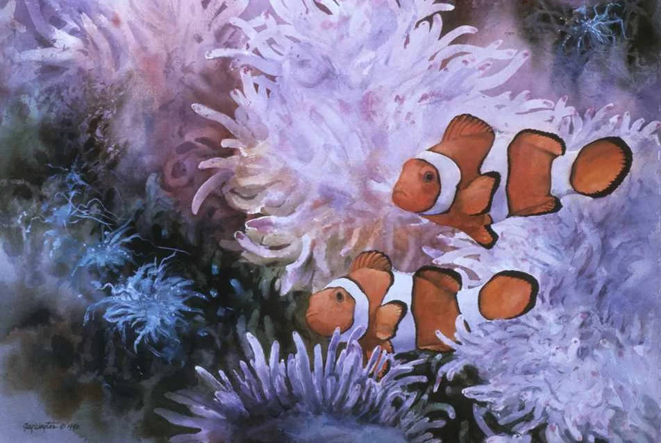 Clownfish