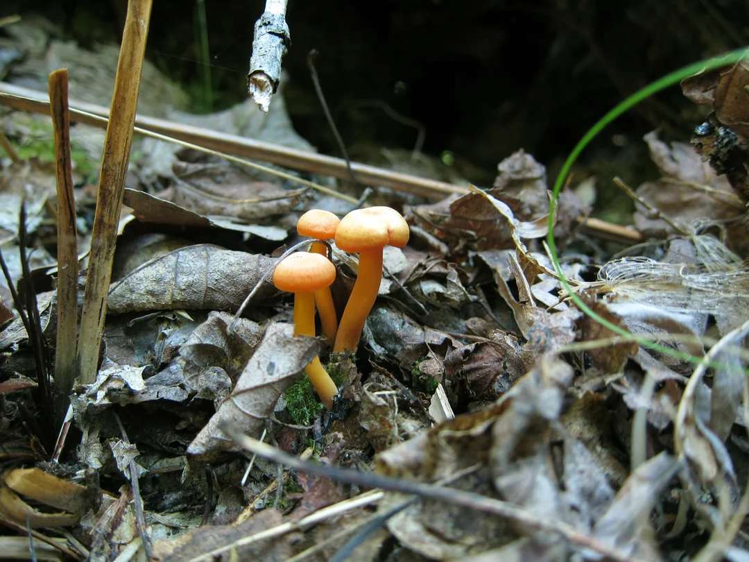 IMG_0326.jpg