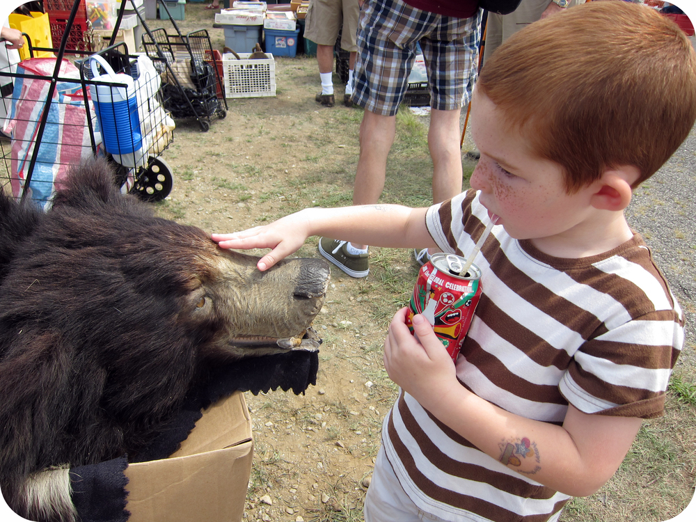 boy petting bear.jpg