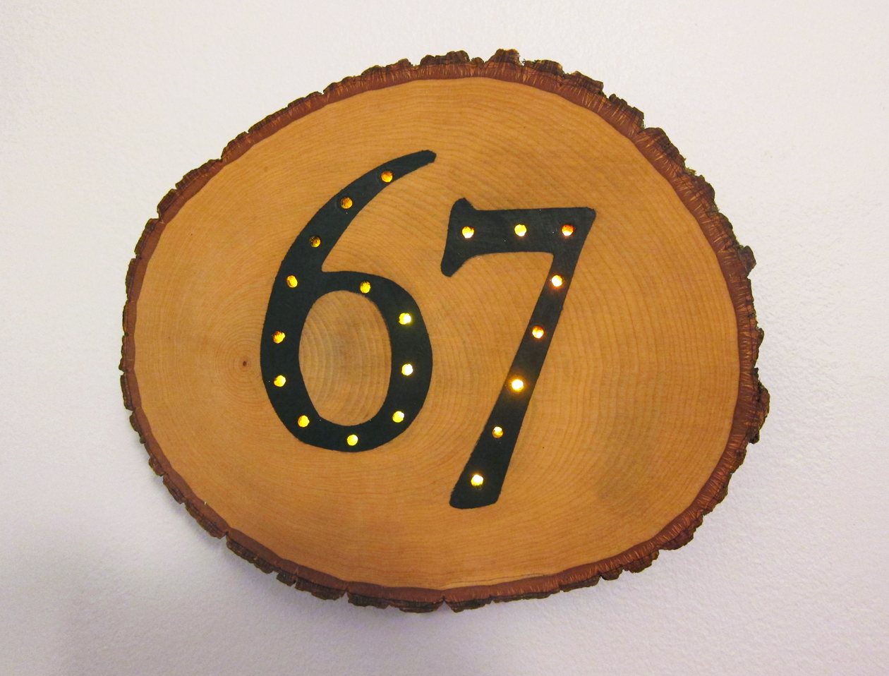 Light up house number.jpg