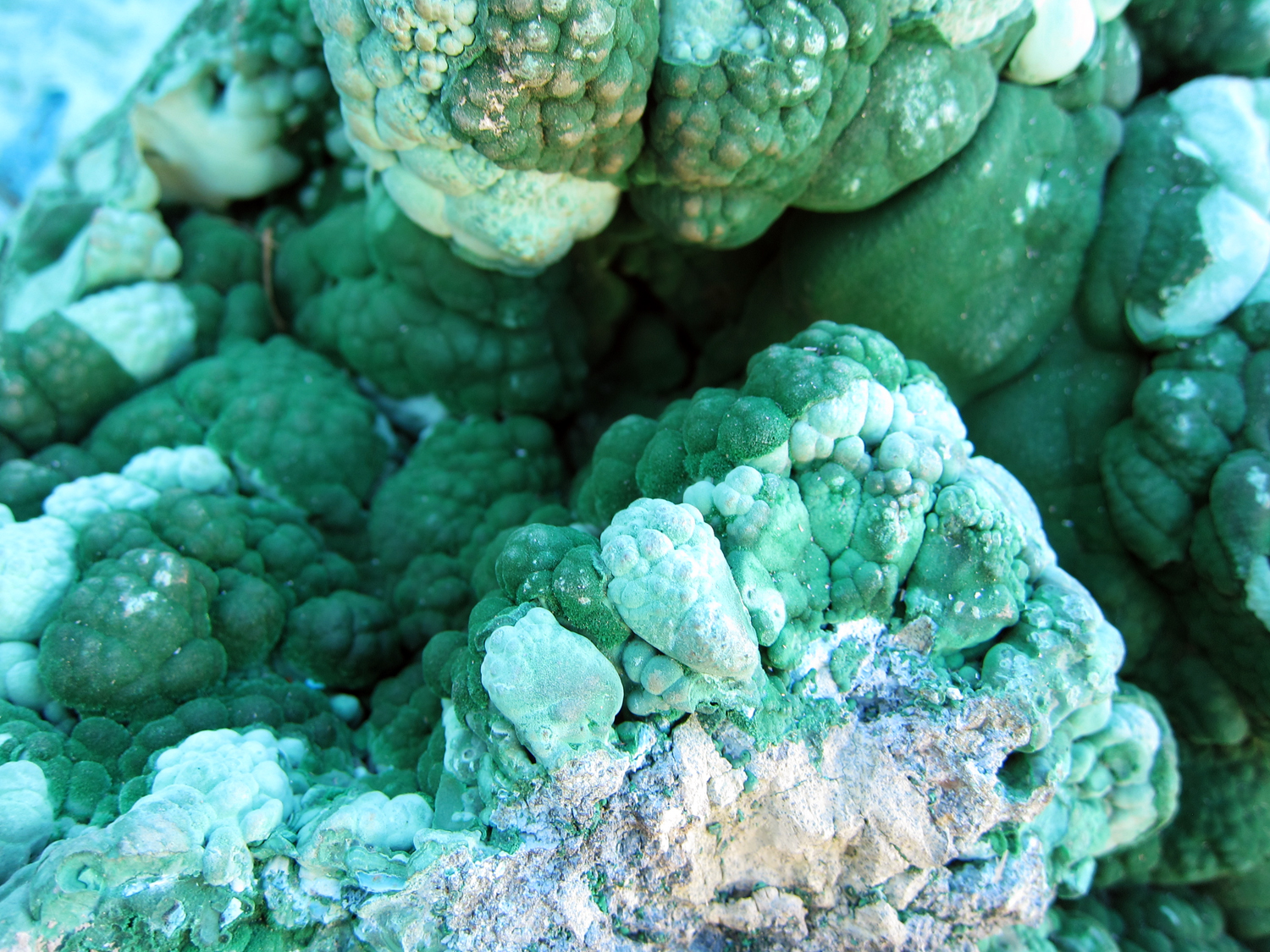  ​I was loving this bubbling green specimen. 
