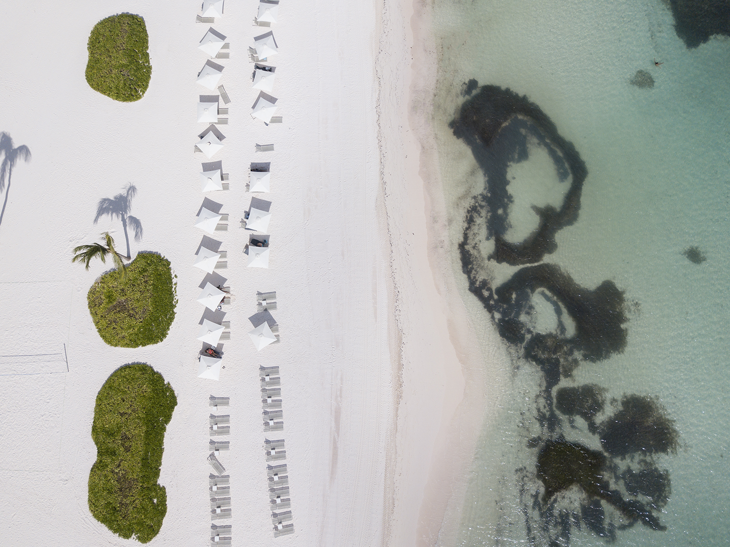 Westin Punta Cana