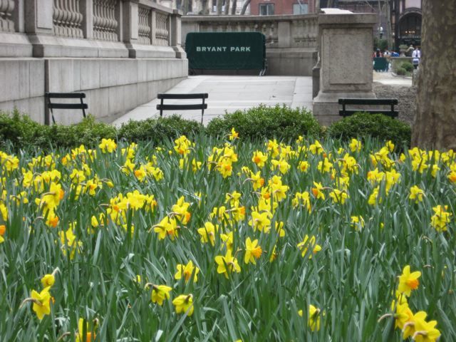 bryant park spring..jpg
