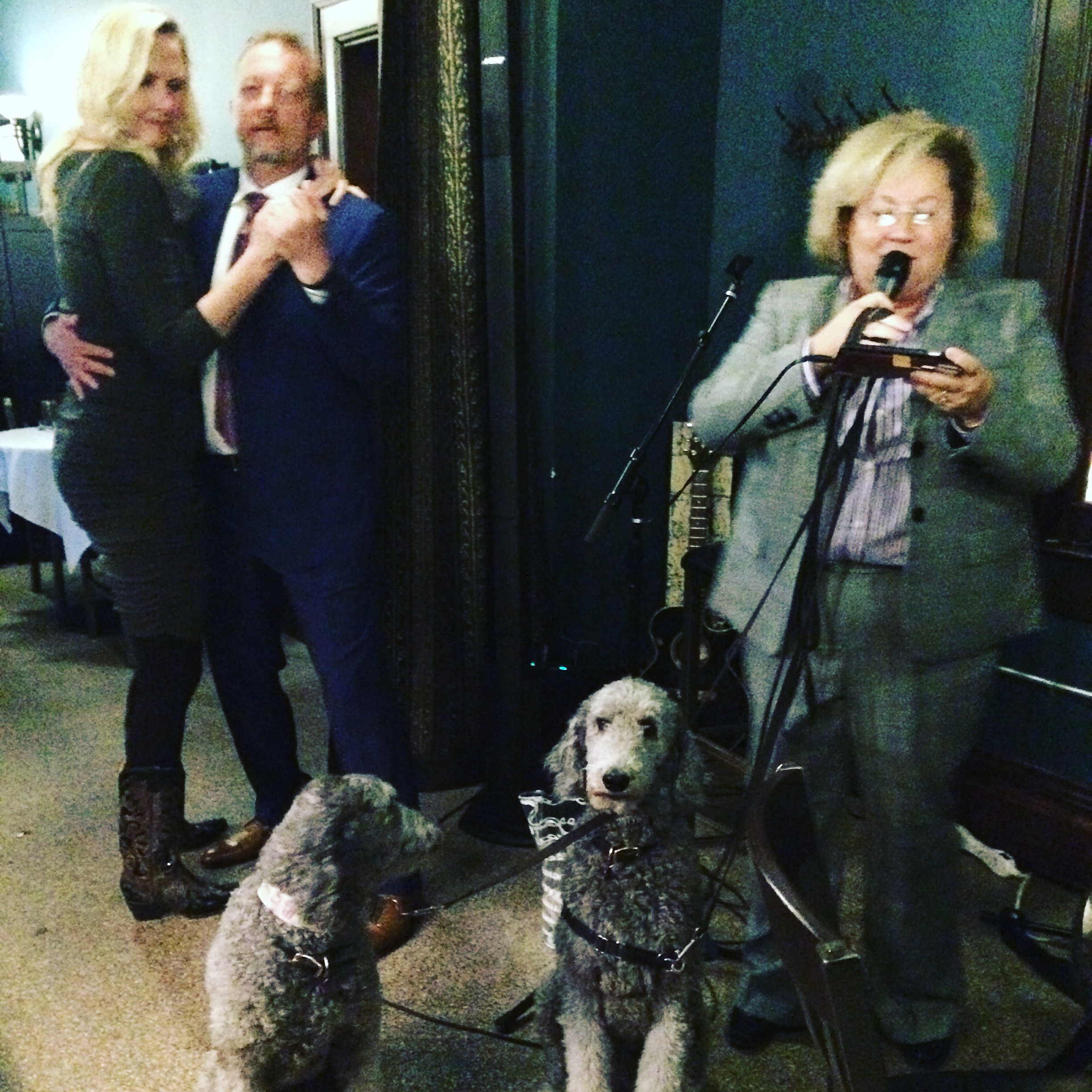karaoke with new friends and poodles in Sioux Falls, SD